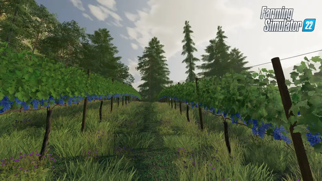 How to farm grapes in Farming Simulator 22