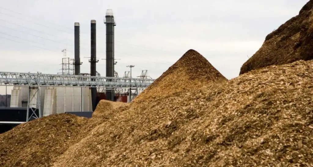 renewable-energy-sources-biomass-energy-min