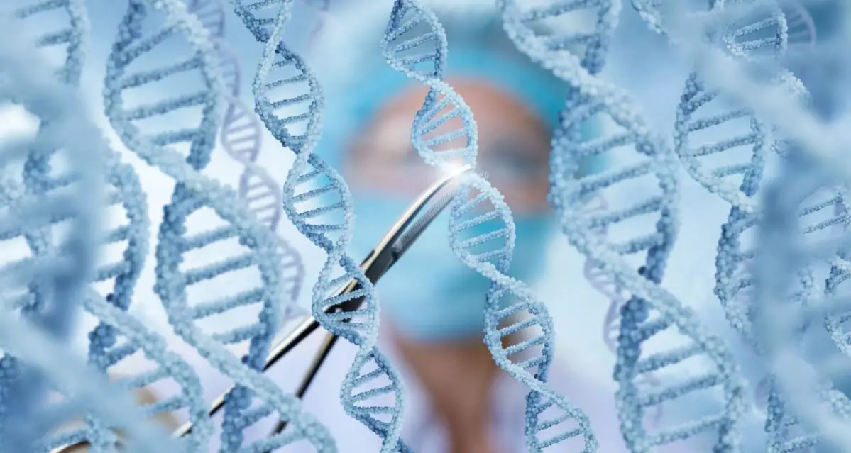 biotechnology gene-editing restores brain to factory