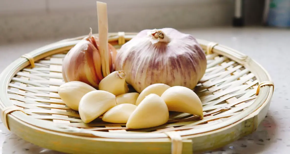 Scientific Explanation Why does garlic give bad breath-min