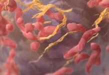 Yeni bir kanser ilacı klinik deneylere katılan her hastayı iyileştirdi A new cancer drug actually cured every patient who participated in clinical trials-min