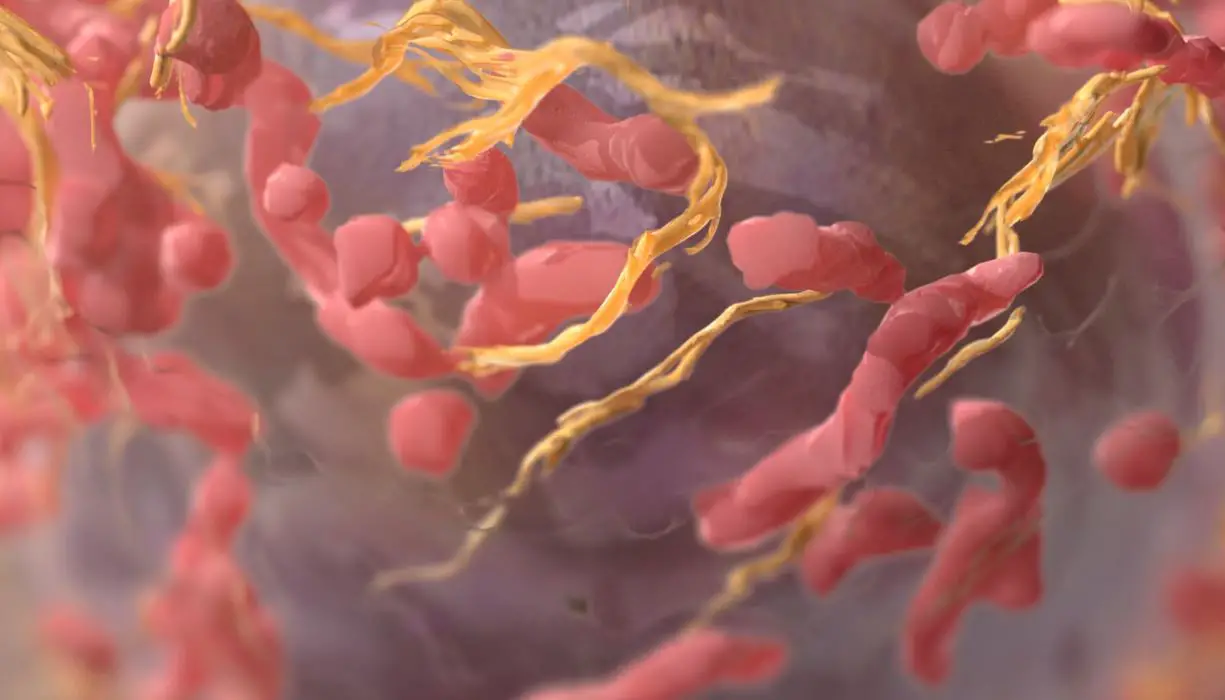 A new cancer drug actually cured every patient who participated in clinical trials A new cancer drug actually cured every patient who participated in clinical trials-min