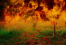 Sıcak Hava dalgaları: Artan orman yangınları Avrupa, Afrika ve Asya’yı vurdu Extreme Heat waves Increasing wildfires hit Europe, Africa and Asia-min