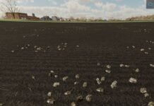 Farming Simulator 22: Taşlar Nasıl Toplanır ve Satılır? Farming Simulator 22 How to Collect Stones and Sell-min