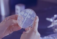 Depresyonla Mücadelede İyi Prebiyotikler ve Bağırsak Mikrobiyalleri Kullanılacak Good Prebiotics and Gut Microbials will be used to Fight Depression-min