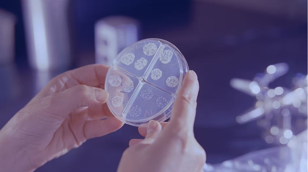 Good Prebiotics and Gut Microbials will be used to Fight Depression Good Prebiotics and Gut Microbials will be used to Fight Depression-min