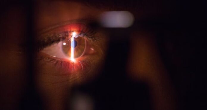 Artificial cornea made of pigskin collagen restores vision in blind people-min