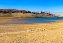 Avrupa’nın 500 yıldaki en kötü kuraklığı Tuna Nehri’ni kuruttu Europe's worst drought in 500 years made Danube river dried up-min
