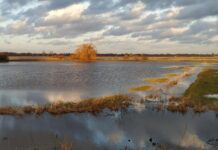 Şiddetli yağmurlarla Pakistan’ın yüzde 33’ünü sel bastı Heavy rains floods 33% of Pakistan causing more than $10 Billion