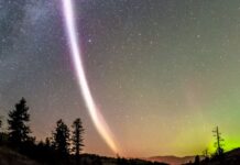 Steve fenomeni Nedir? İsmi nereden geliyor? Steve phenomenon Where Its Name comes from-min