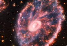 James Webb Teleskobu, Cartwheel galaksisinin yeni görüntüsünü yayınladı Webb Telescope releases new image of Wheel galaxy in more detail-main-min