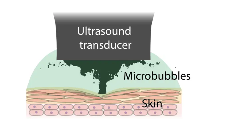 microbubles_bioadhesion