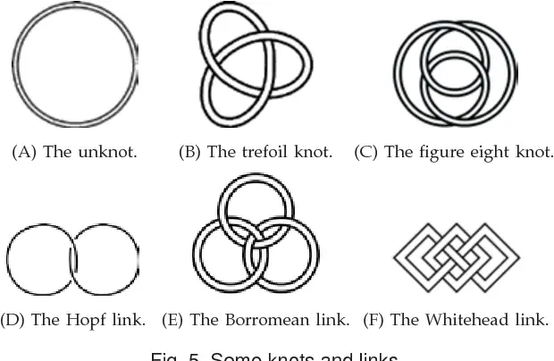 trefoil knots or Hopf links