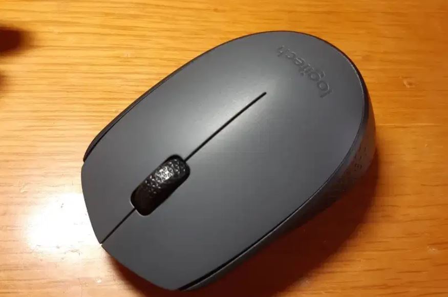 Logitech M170 Wireless Mouse: Review And Specs Teknonel