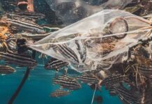 Yeni bir Katalizör, Herhangi Bir Plastik Atığı Propana Dönüştürüyor Any Plastic Can Be Converted To Propane-min