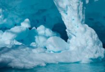 Antarktika buzunun derinlerinde zengin bir ekolojiyi olabilir Antarctic sea ice may hide rich ecology in the deep dark