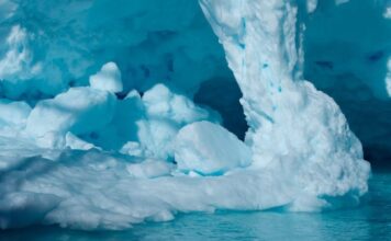 Antarctic sea ice may hide rich ecology in the deep dark Antarctic sea ice may hide rich ecology in the deep dark