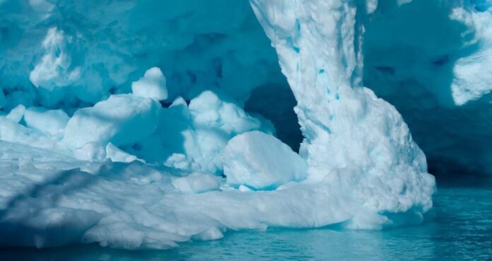 Antarctic sea ice may hide rich ecology in the deep dark