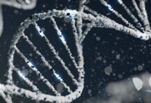 Yeni Gen terapisi Roctavian ileri hemofiliyi tedavi edebiliyor New Gene therapy Roctavian can cure severe hemophilia