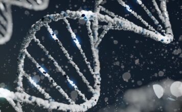 New Gene therapy Roctavian can cure severe hemophilia New Gene therapy Roctavian can cure severe hemophilia