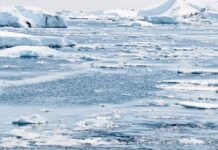 Kuzey Kutbu 4 Kat Daha Hızlı Isınıyor ve Daha Fırtınalı Oluyor The Arctic is Warming Four Times Faster and Becoming Stormier