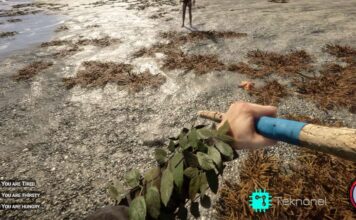 Sons of the Forest: Yaprak Zırh Nasıl Yapılır? Sons-of-the-Forest-How-to-Craft-Leaf-Armor