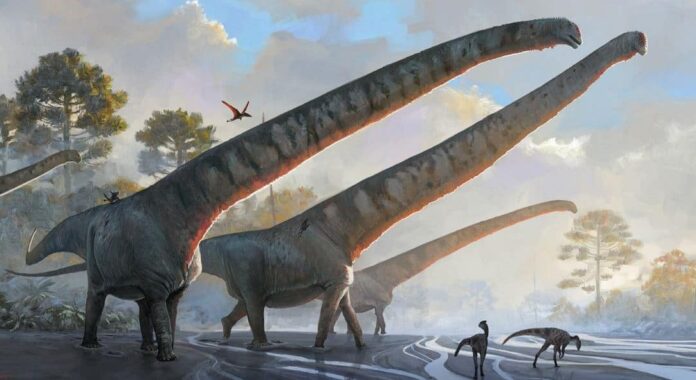 New Record The neck of Mamenchisaurus in China is 15 meters long