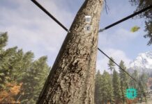 Sons of the Forest: Zipline Halatı Nasıl Yapılır?