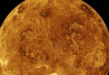 Venus atmosphere contains atomic oxygen directly Venus atmosphere contains atomic oxygen directly