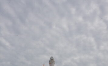 Elon Musk Sayesinde Mobil Ağ Çekmeyen Yer Kalmayacak